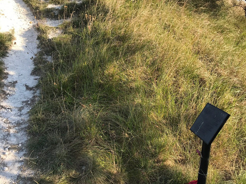 Devil's Dyke-Reach必去景点