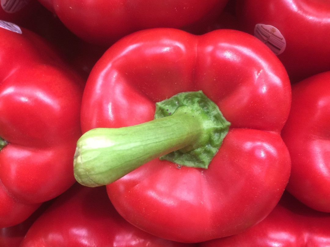 Santa Fe Farmers Market-圣菲必去景点