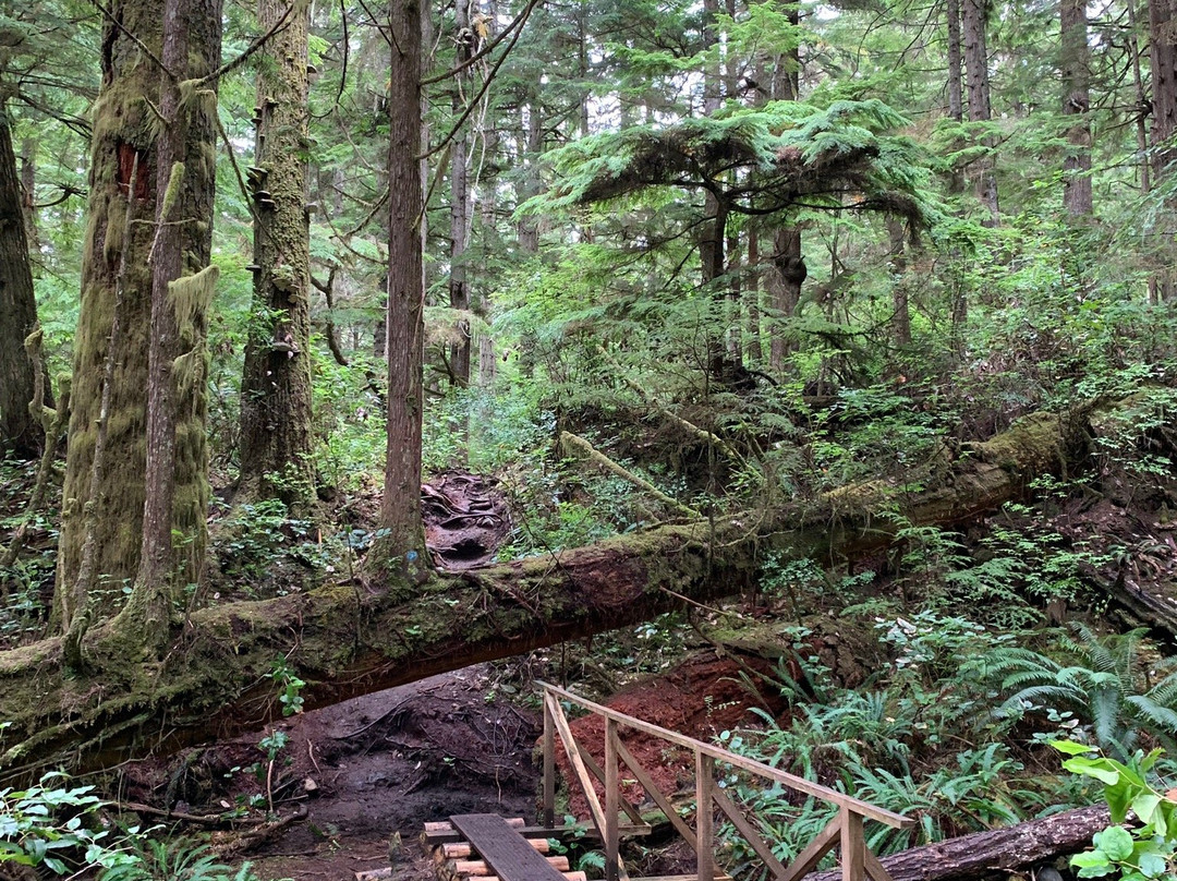 Blinkhorn Trail-Telegraph Cove必去景点