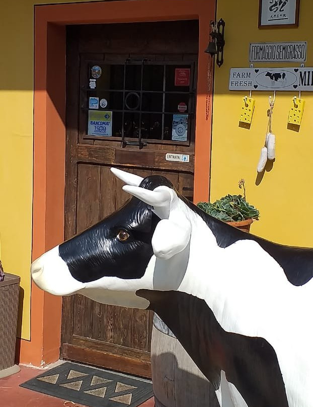 Giolito Cheese-Bra必去景点