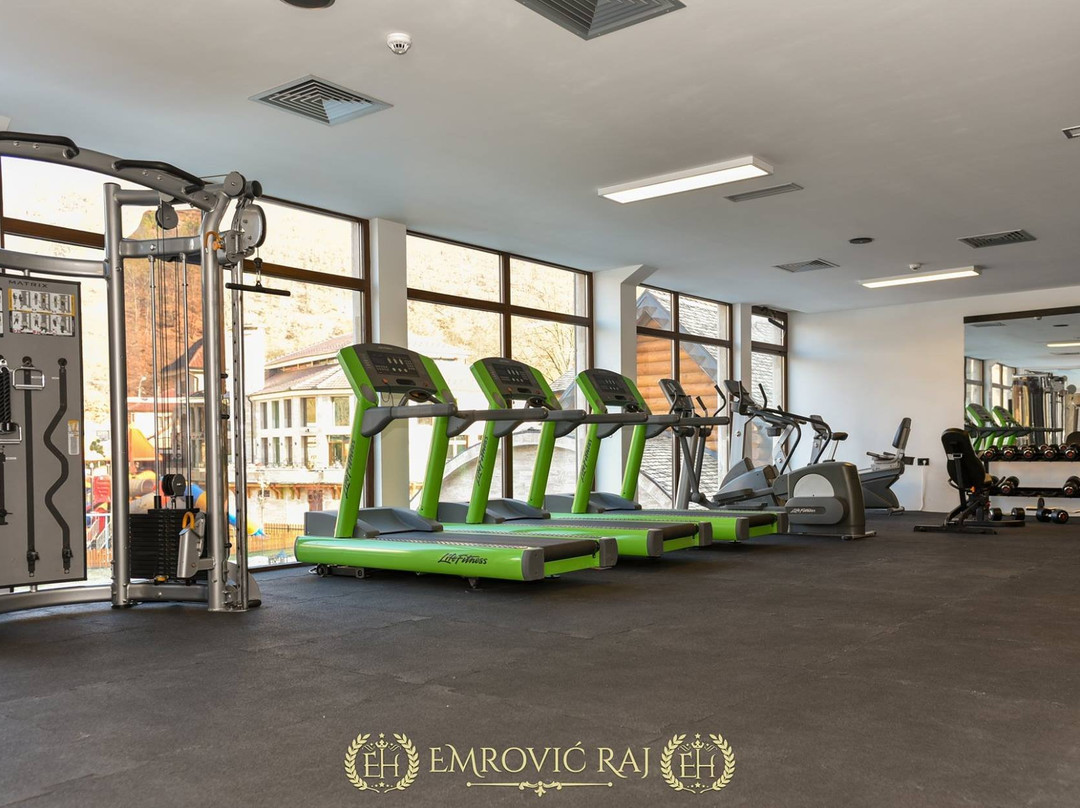 Hotel Emrovic Raj主图