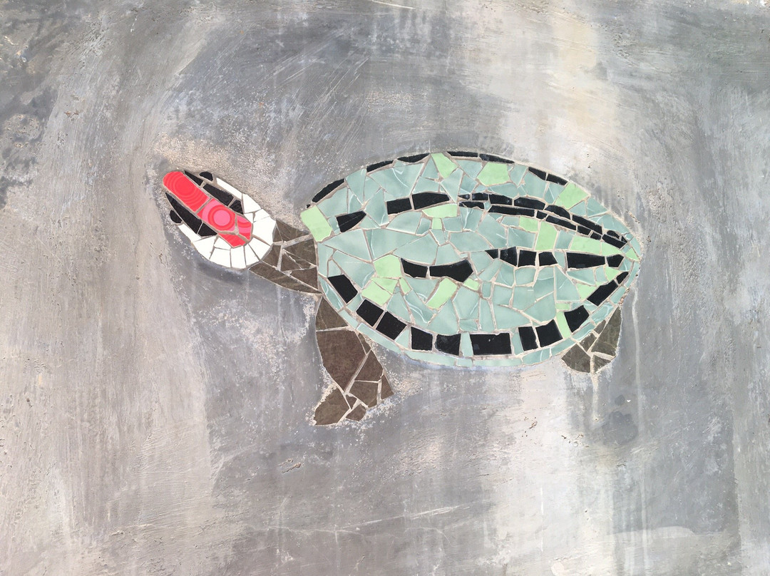 Turtle Sculpture景点图片