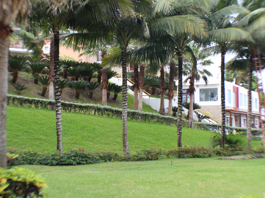 Royal Decameron Mompiche主图