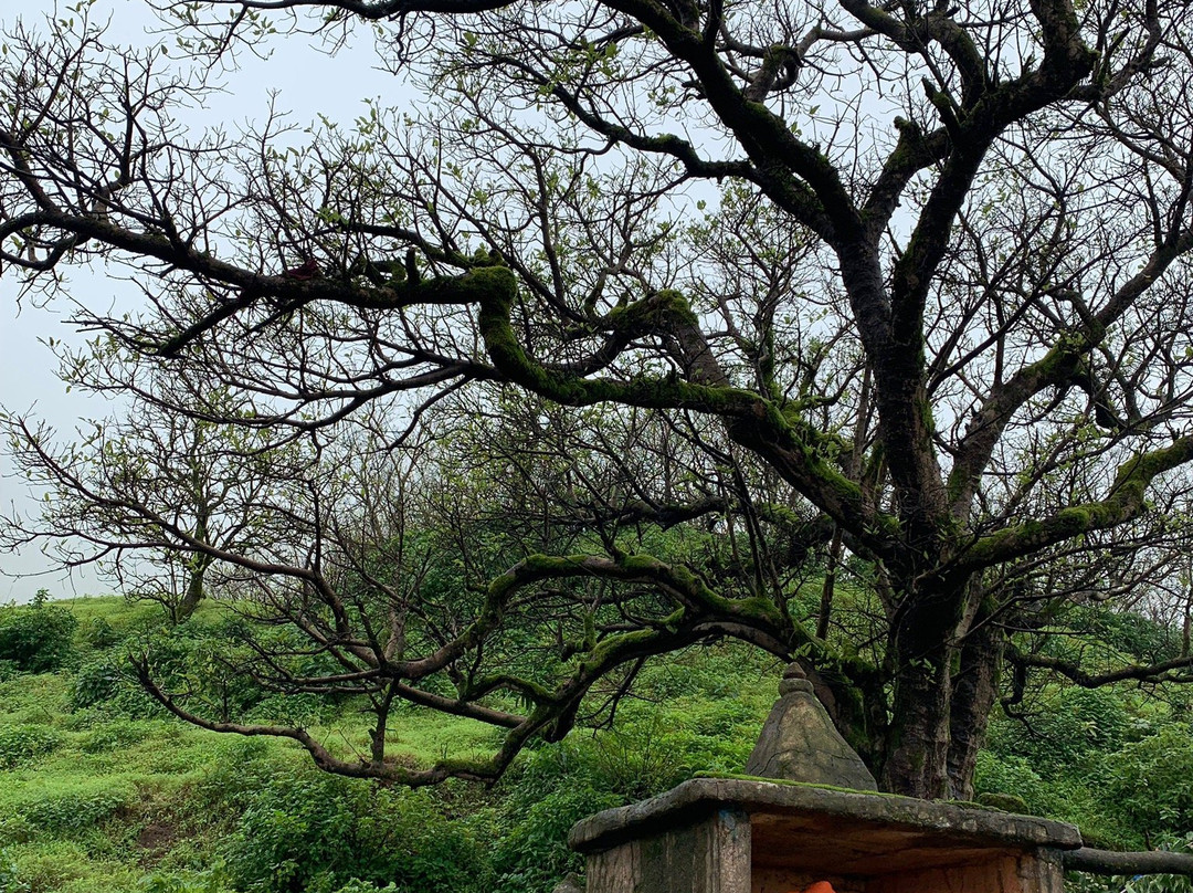 Brahmagiri Hill景点图片