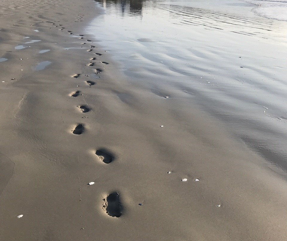 斯川德乐普海洋小屋主图