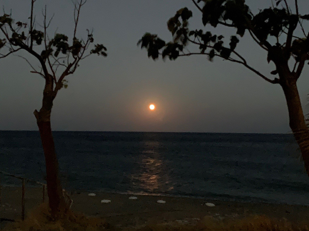 MayaLuna Ecolodge- Restaurants主图