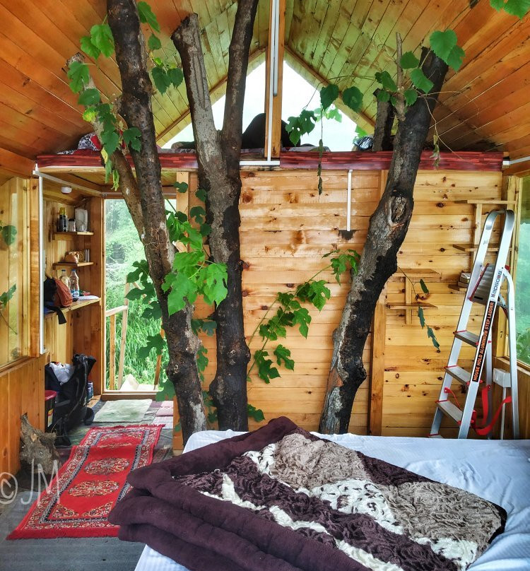 Jungle Book Home Stay主图