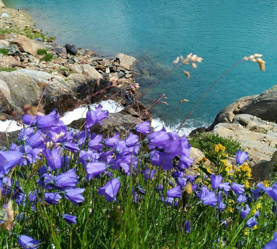 Giro dei Laghi del Cevedale景点图片