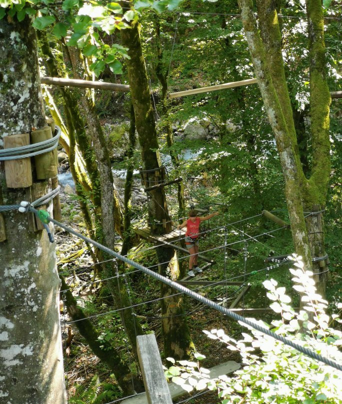 Léman Forest景点图片