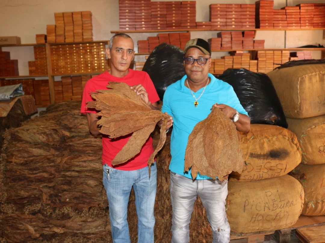 Fifi Jewelry And Cigar Store-普拉塔港必去景点