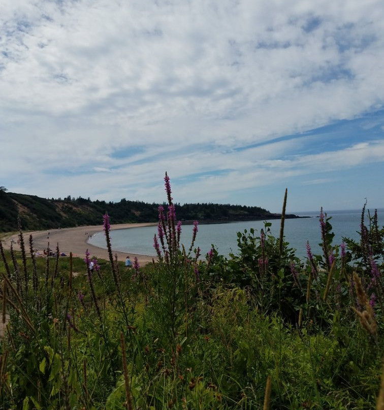 Sandy Cove Beach景点图片