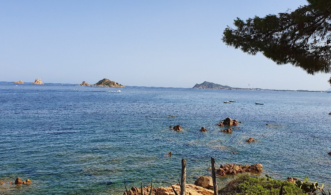 Affittacamere Elianto主图