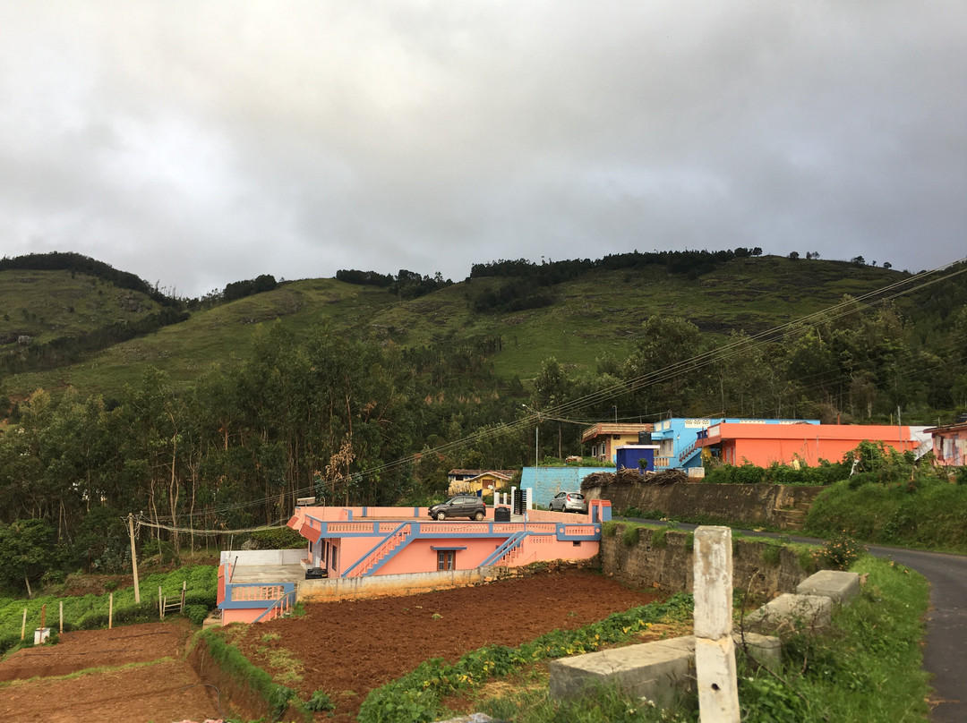 Mount 'n' Mist主图