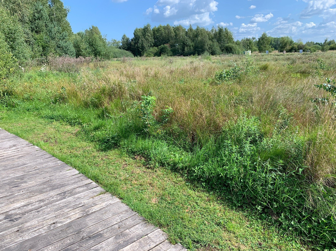 MegaLandia-Przewloka必去景点