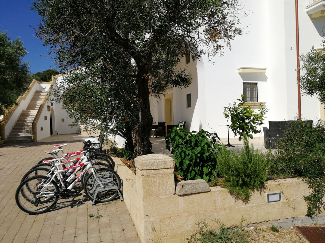 Casale Donna Rosa主图