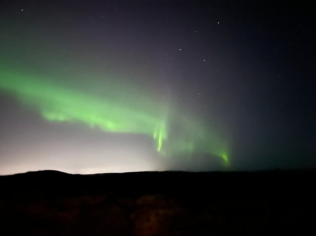 Ultimate Iceland // Aurora Experts-雷克雅未克必去景点