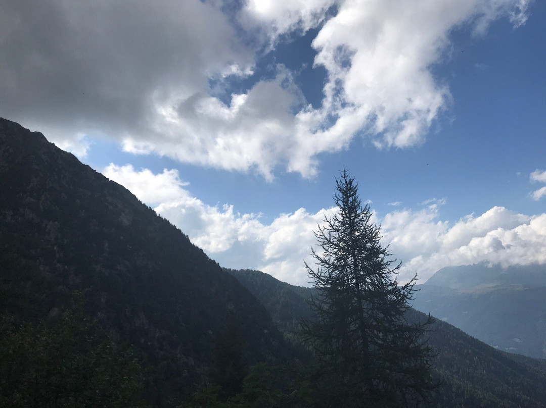 Lago di Lagolo景点图片