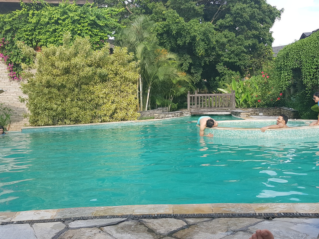 寺庙树温泉度假村主图