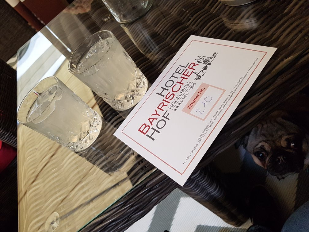 巴伐利亚霍夫酒店主图