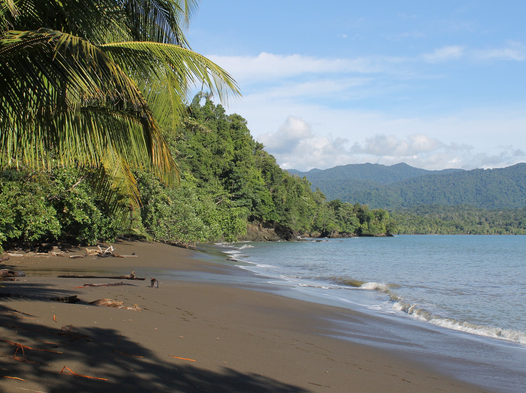 Mapara Crab Lodge主图