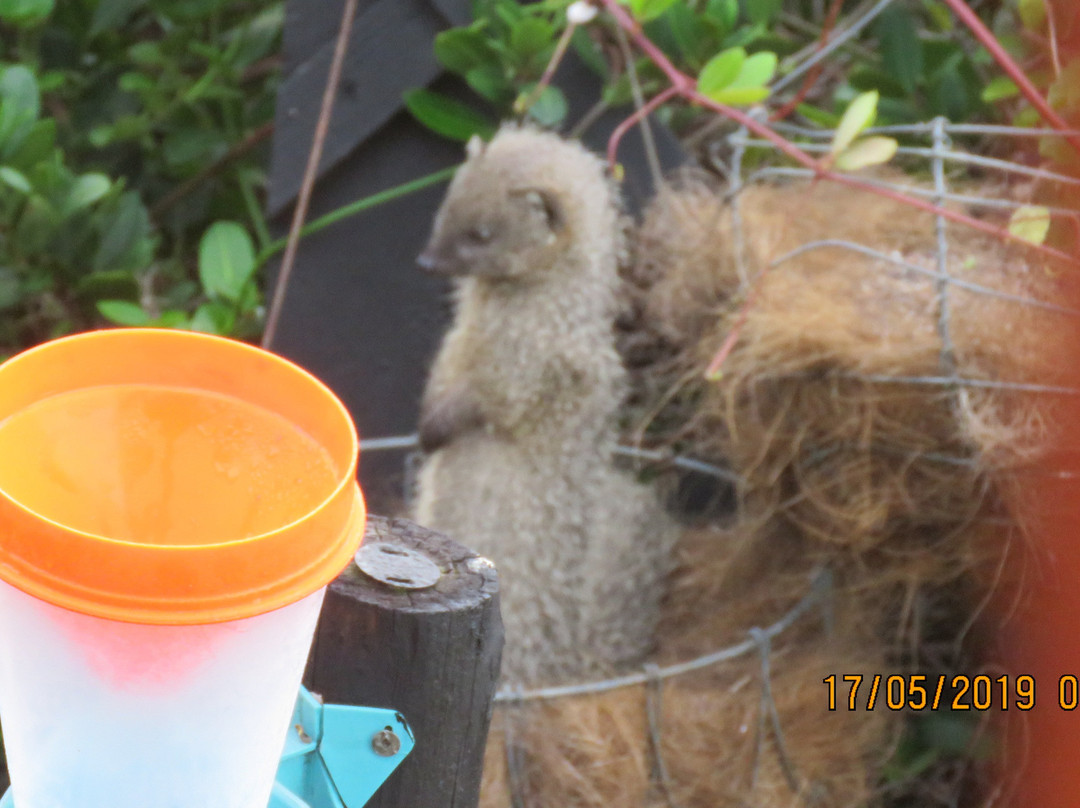 24 Houtboschbay Honeymoon Suite With a Jacuzzi主图