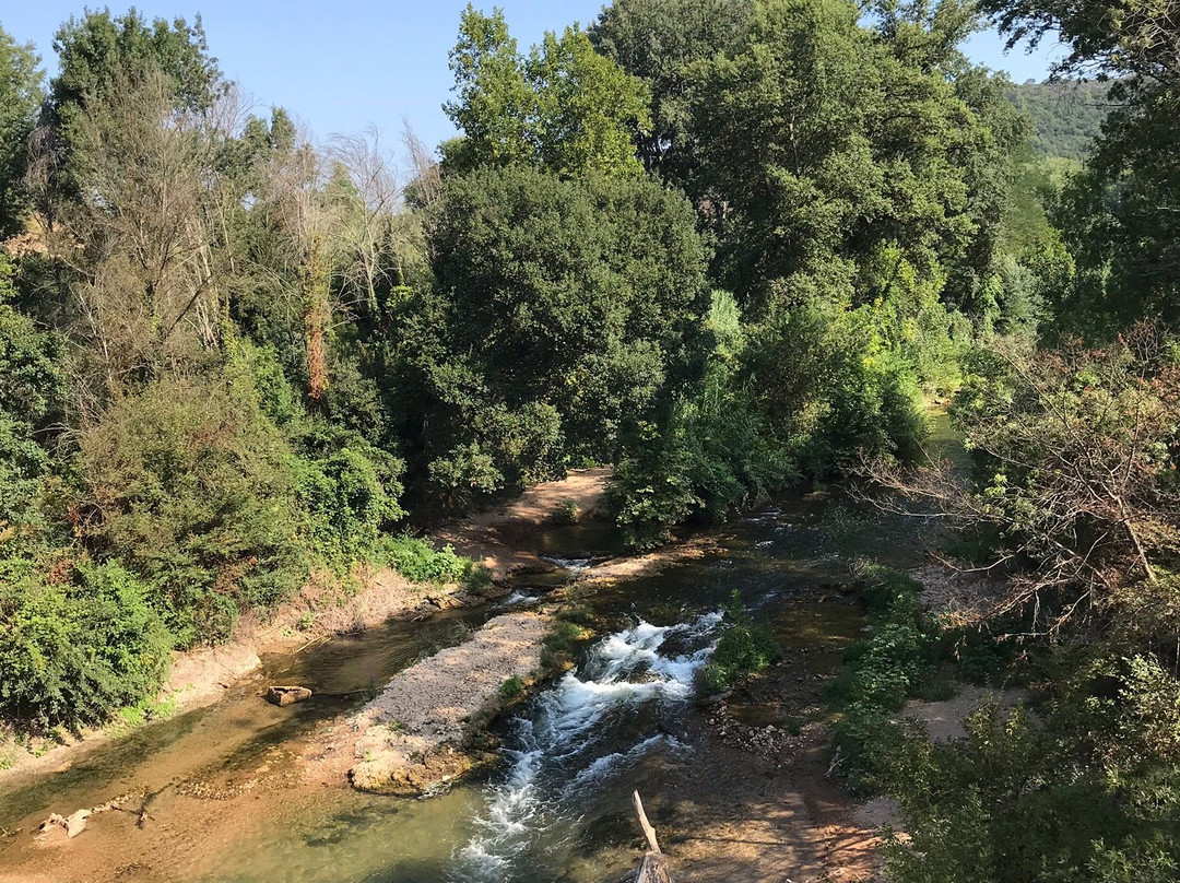Les Traits de Provence景点图片