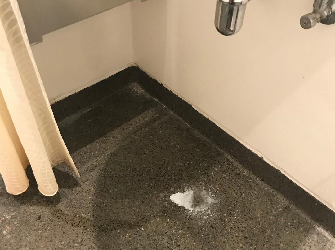 埃德瑞特斯酒店主图