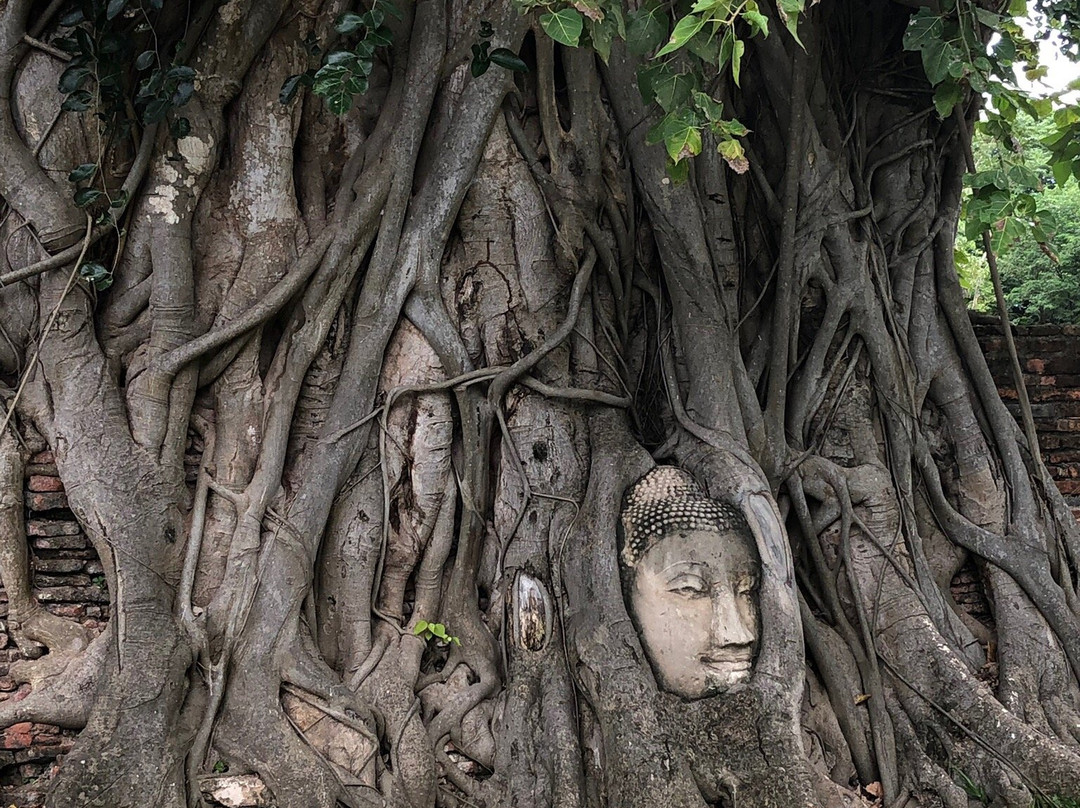 Wat Maha That景点图片