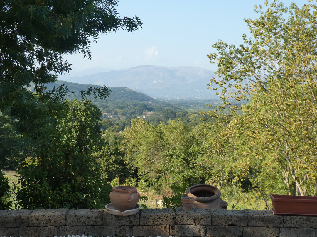 Country House Bosco D'Olmi主图