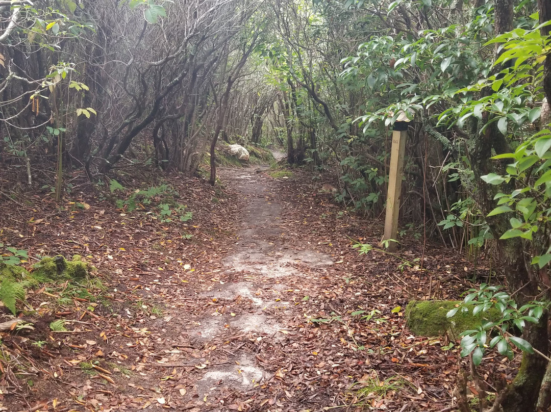 Graveyard Fields Hike & Waterfalls-Canton必去景点