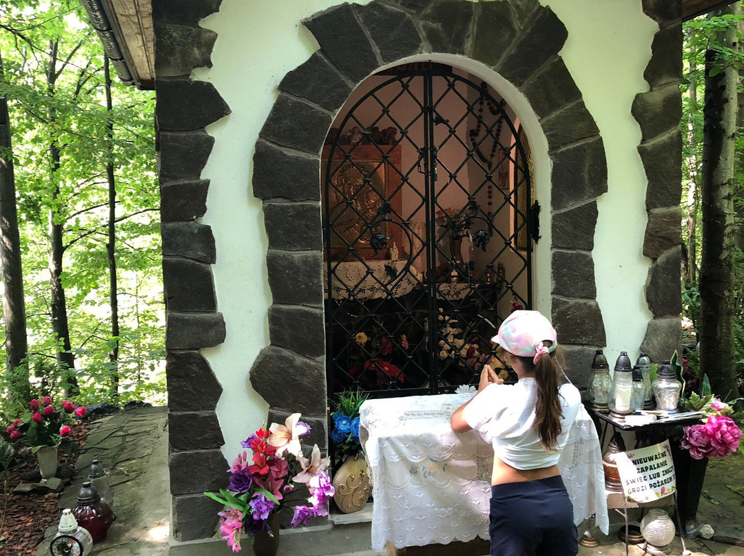 Ruins of the Castle In Muszyna-Muszyna必去景点