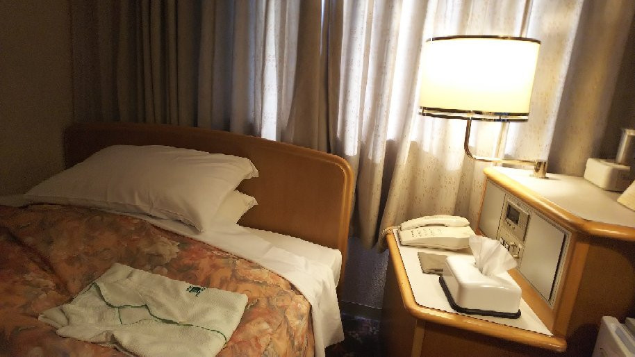 Hotel New Green Plaza主图