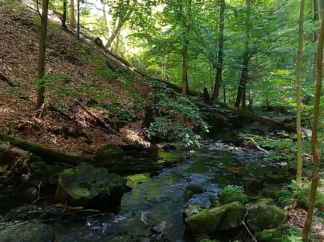 Forsakar Nature Reserve-Degeberga必去景点