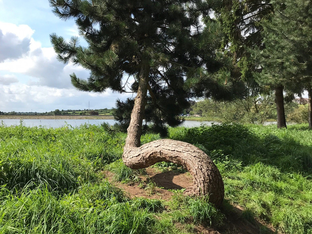 Thornton Reservoir景点图片