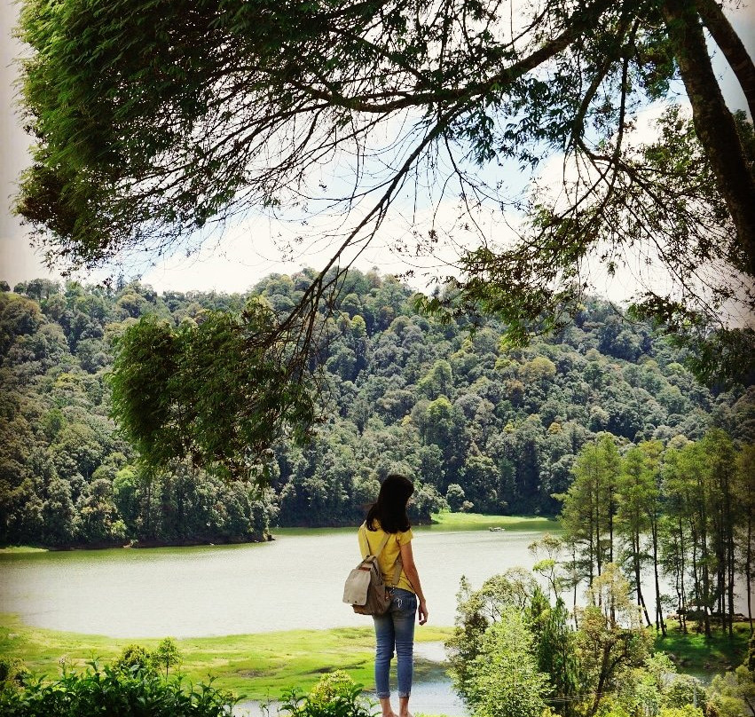Patenggang Lake景点图片