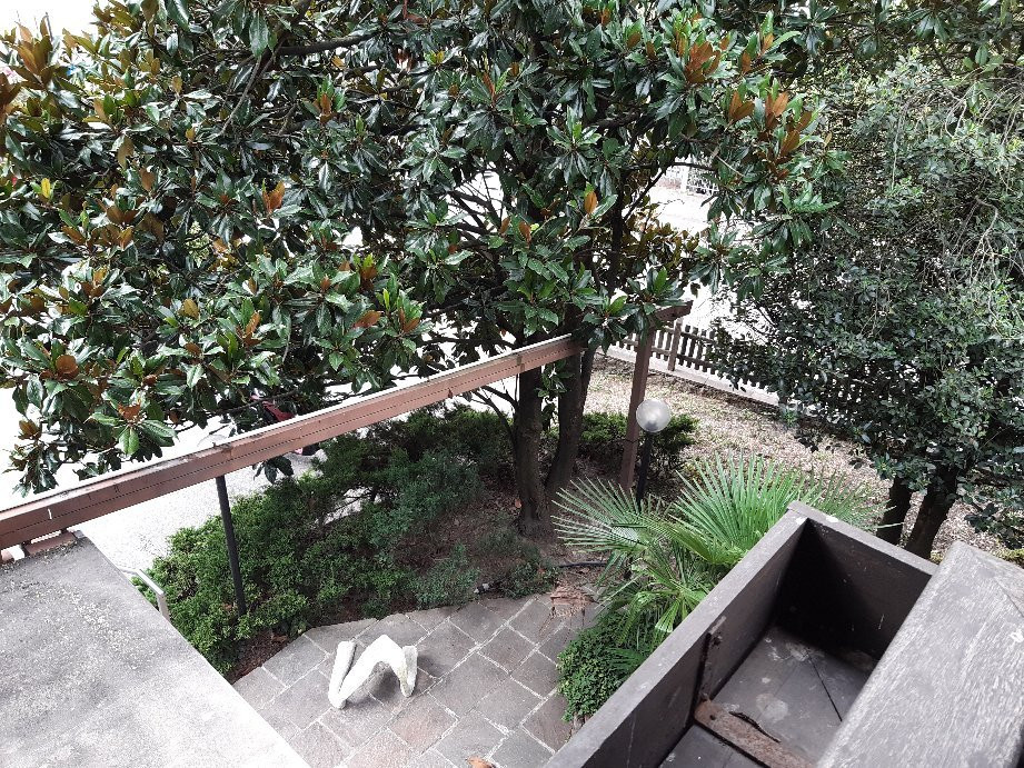 Pension Martha主图