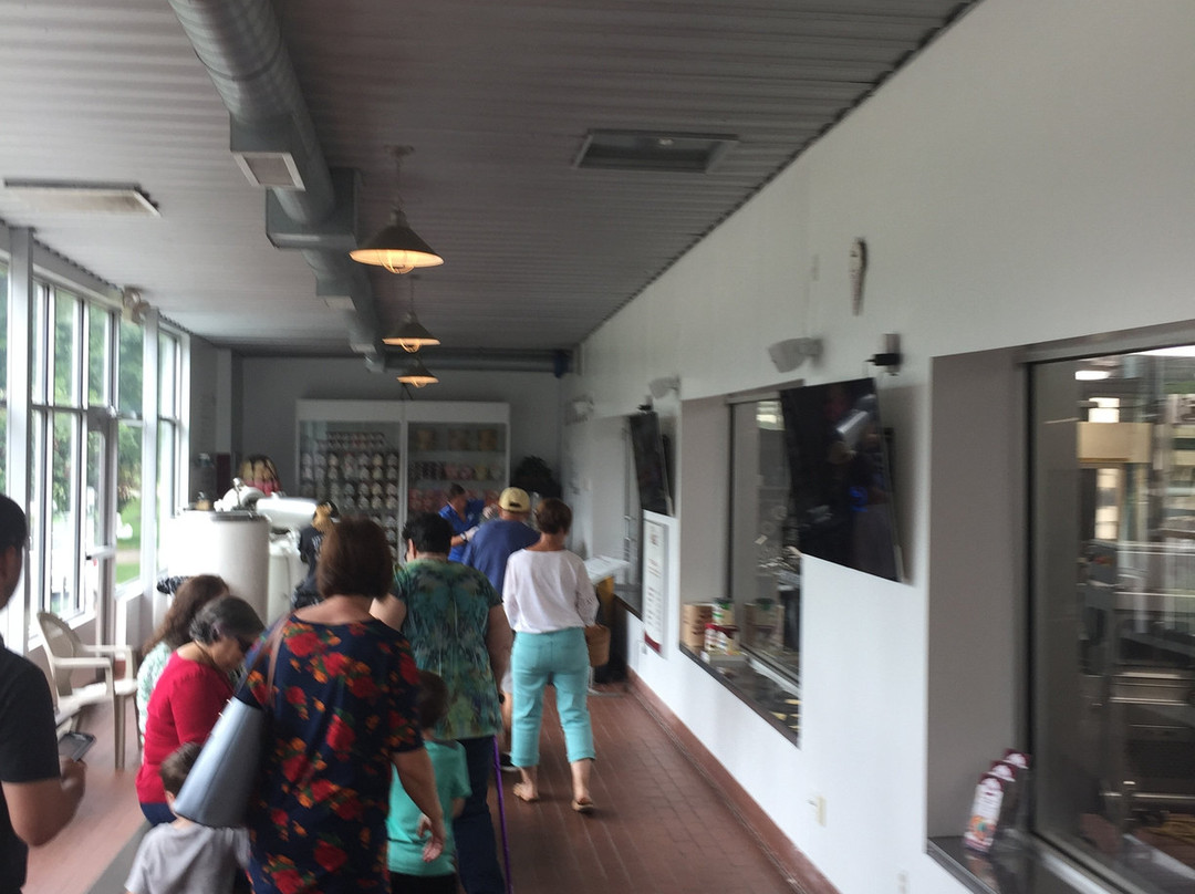 Velvet Ice Cream Co.-Utica必去景点