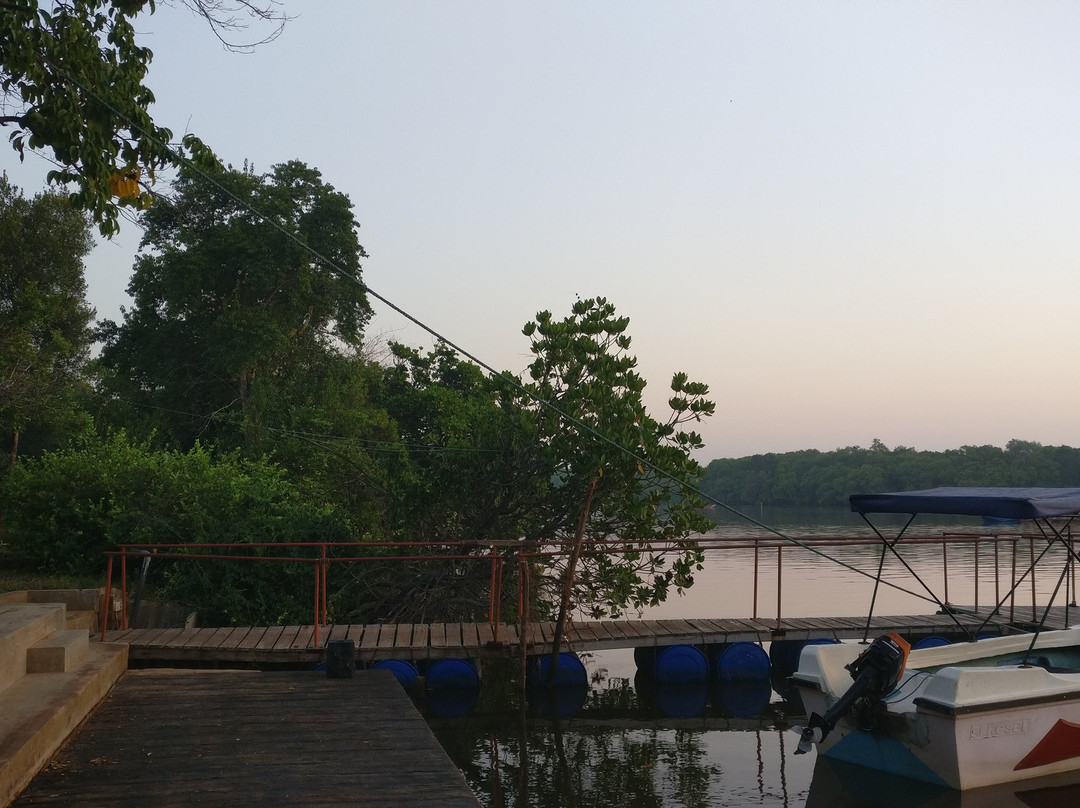 Wilpattu Nature Resort主图