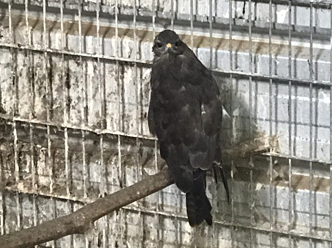 Tierpark Alsdorf景点图片