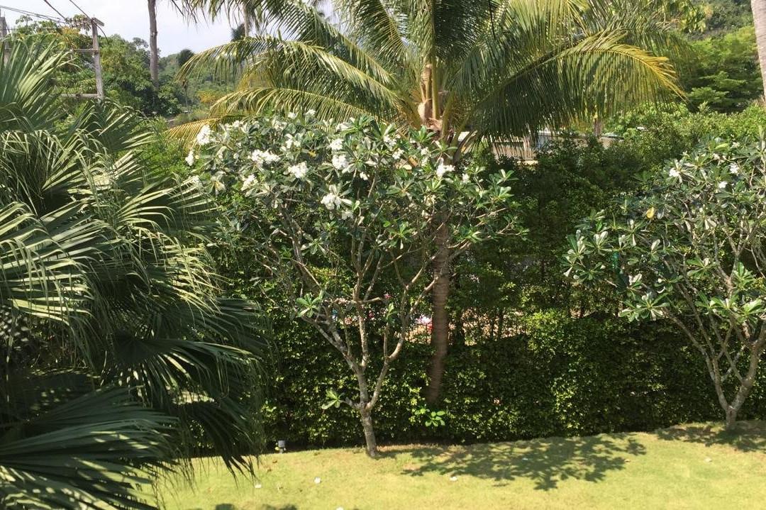 阿瓦度假酒店主图