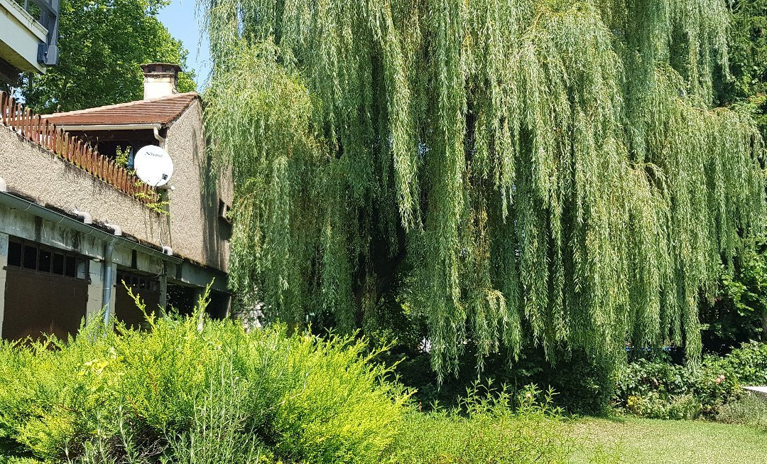 La Bonne Auberge主图