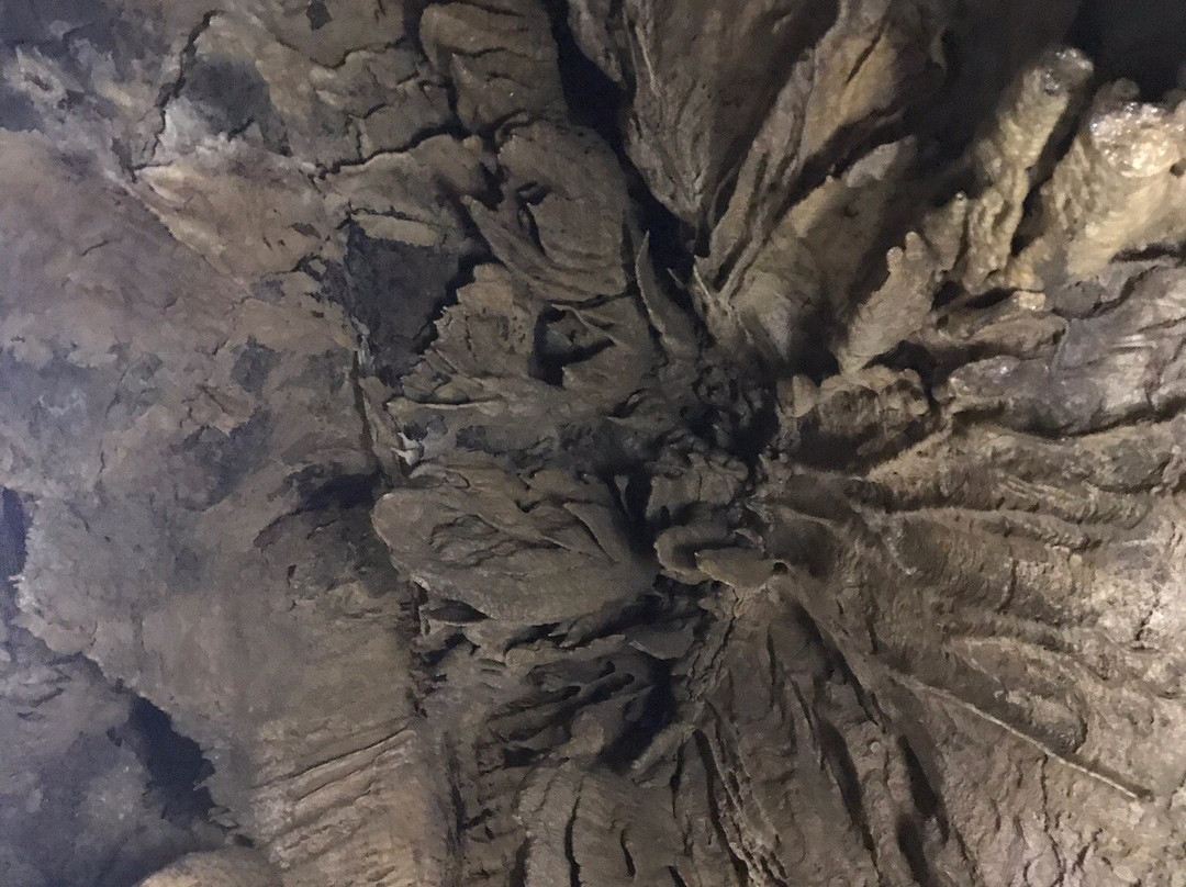 Otaki Limestone Cave-郡上市必去景点