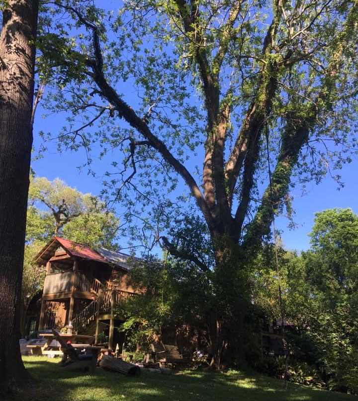 Shadetree Inn B&b主图