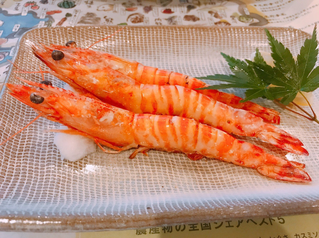 Shinwaso Kaishin主图