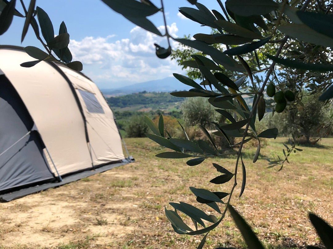 Agriturismo Villa Bussola主图