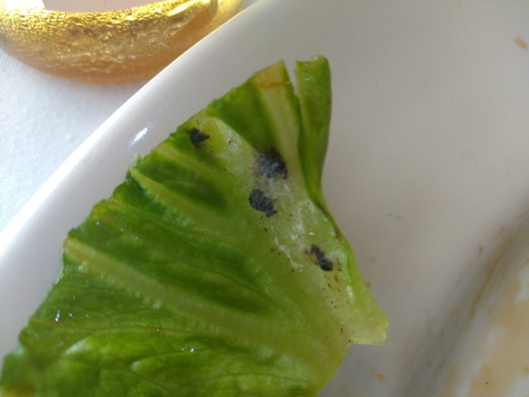 Hotel San Luis Lindavista主图