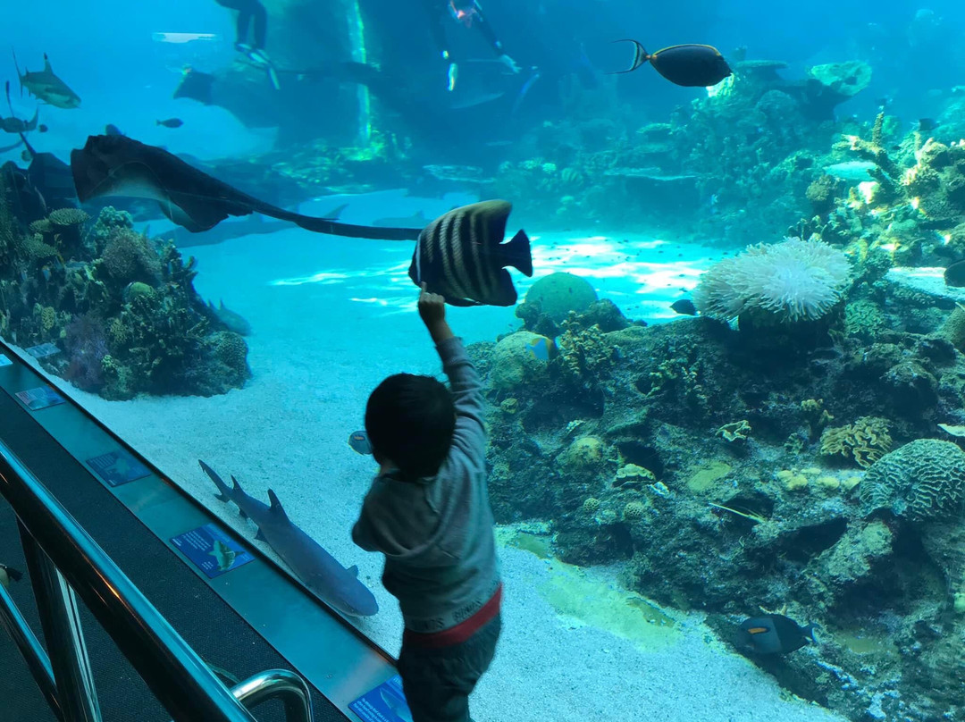 Shark Bay-梅因海滩必去景点