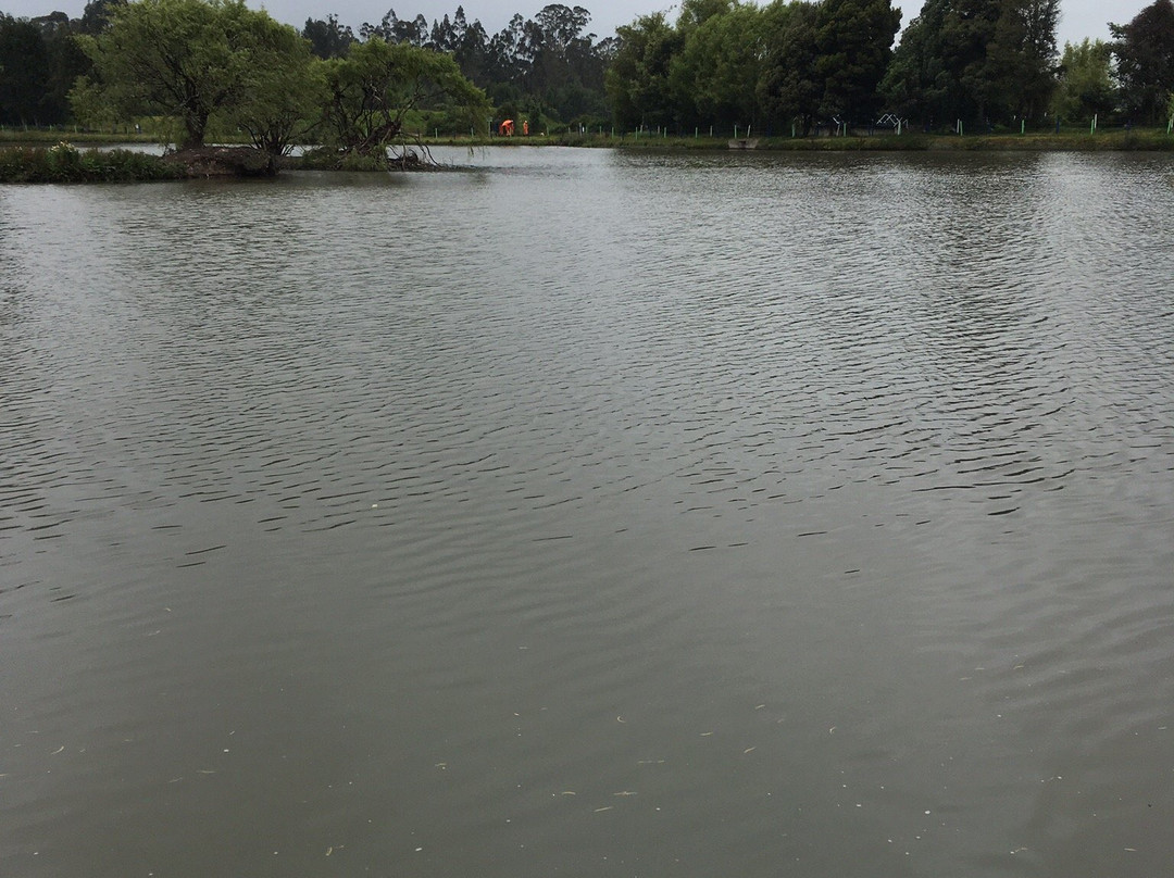 Parque Ecoturistico Puente Sopo景点图片