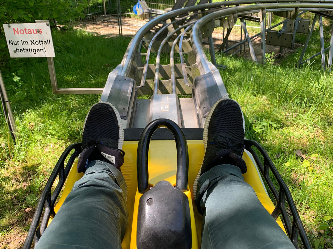 Sommerrodelbahn-Wald-Michelbach必去景点