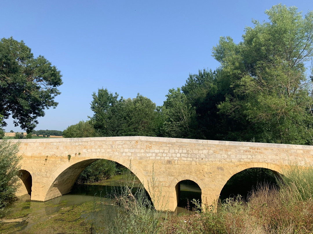 Pont De Lartigues景点图片